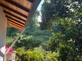 The Green Lodge Kandy