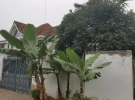 House 21,Cedar Groove