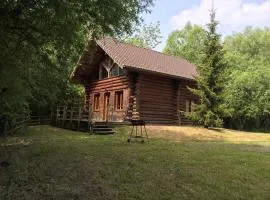 Charming Chalet with Swimming Pool in Quend