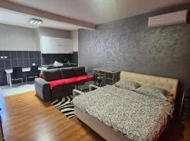 Apartment Savanovic
