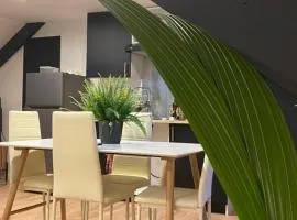 Appartement Atypique- Esprit Atelier Loft - parking privé - Wifi - vidéo