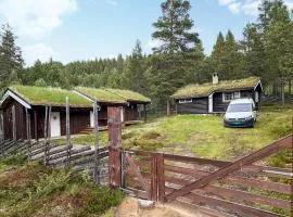 4 Bedroom Stunning Home In Tynset