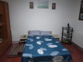 Casa Antonyo