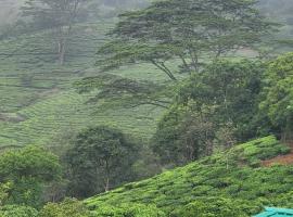 Rock Villa, hotel in Vagamon