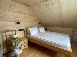Gremi Hotel, hotell sihtkohas Dragobrat
