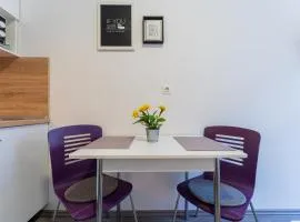 Flex SelfCheckIns 130 - Zagreb - Studio Apartment - Center