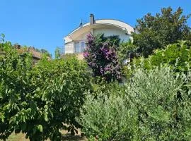 Apartman KIKI
