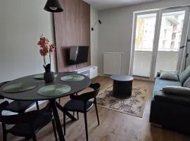 Urban Jungle Apartament Bill