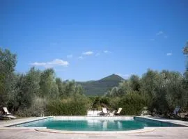 Agriturismo Tra gli Ulivi, Chiappini Winery