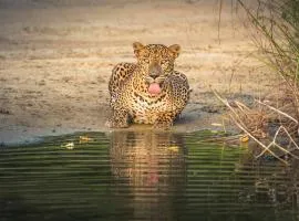 V Cabanas Yala Safari Place
