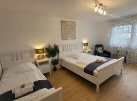 Große,Schöne FeWo nähe Schwetzingen-Hockenheim 3 Zimmer mit Balkon