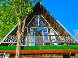 Little Wood Cabin
