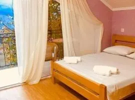 cottage in tsemi (Borjomi)