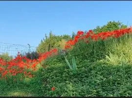 Balcon des Vignes