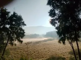 Dieng glamping syari'ah