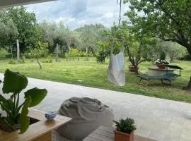 Casa RiVa - Among olive trees and the Tuscan coast