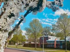 De bank van Nagele