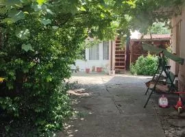 Casa Maya