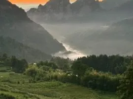 Flowers Valley Zhangjiajie
