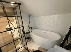 Penthouse Colibița