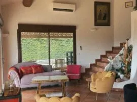 Large family villa with sea view near Palombaggia