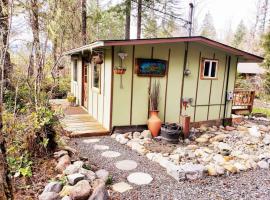 Mt Rainier Little Green Cabin On Big Creek!, hotel in Ashford