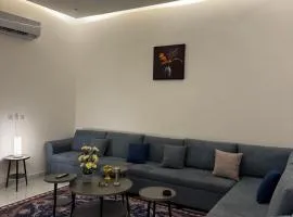 شقة فندقية غرفتين