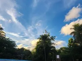 Entre Árboles