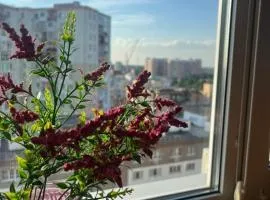 Studio on Pestelya street
