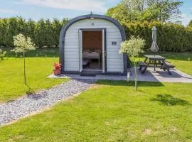 Bryn Hafod - Uk49671