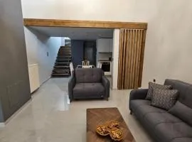 DS Central Apartment