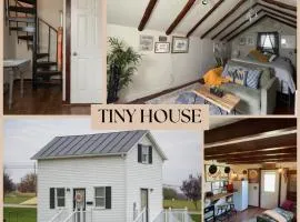 Cozy Tinyhouse Jmudowntown Fire Pit Yard