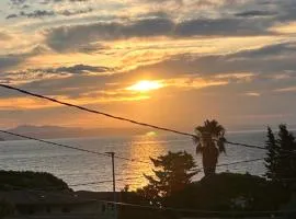 Oasibellavista