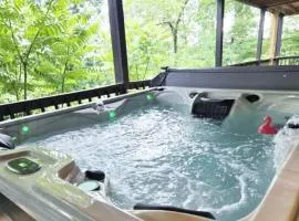 Great Smoky Mountain, Hot Tub, Mins to Dollywood