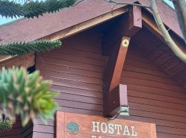 Hostal el Nogal Pucón、プコンのホテル