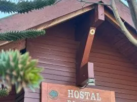 Hostal el Nogal Pucón