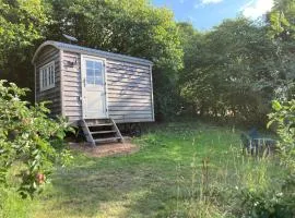 The Orchard Hut