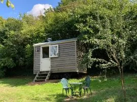 The Orchard Hut