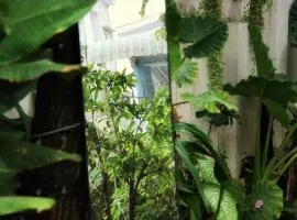 Homestay Cô Gái Việt