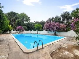 Pet Friendly Apartment In Vico Del Gargano