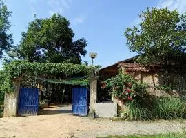 Madam Sokha Homesteading