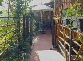 Hoa Cau HoiAn