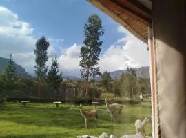 Chakras Colca