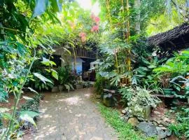 Art house hiriketiya