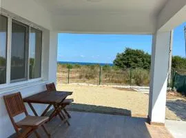 Vila Nikalas