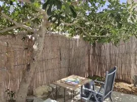 earth home
