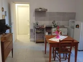 Testaccio Immobiliare