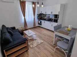 Apartament DVR Baile Felix