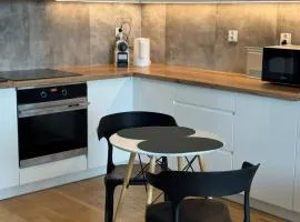Cosy Studio Lubelska SkyRes City Center Free Parking Panoramic View
