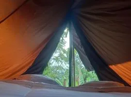 Freedom camp Ella